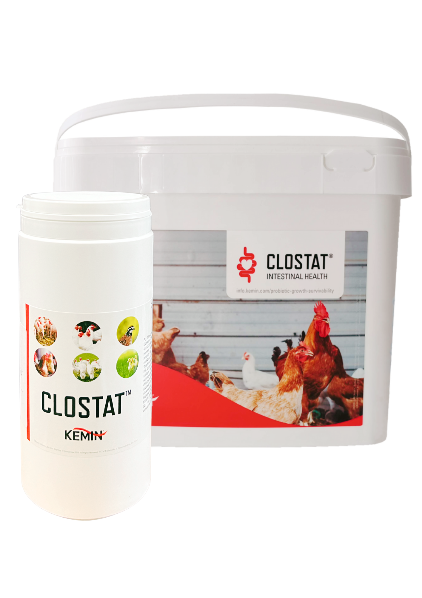 CLOSTAT HC SP DRY