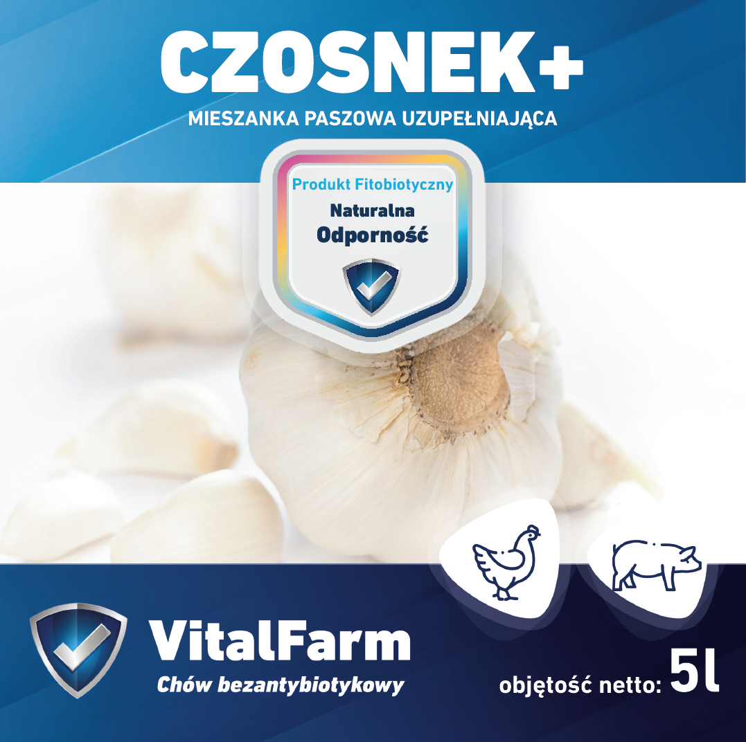 CZOSNEK+