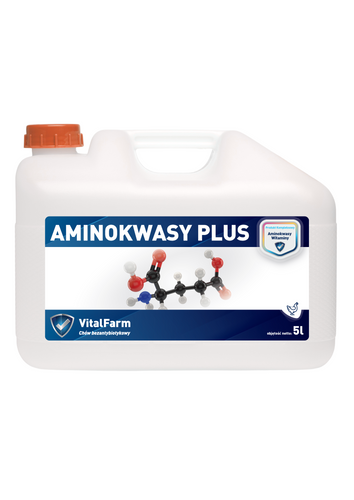 AMINOKWASY PLUS