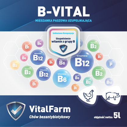 Przód etykiety suplementu B-Vital marki VitalFarm. Na etykiecie kolorowe bąbelki różnych witamin, piktogramy kury i świni.