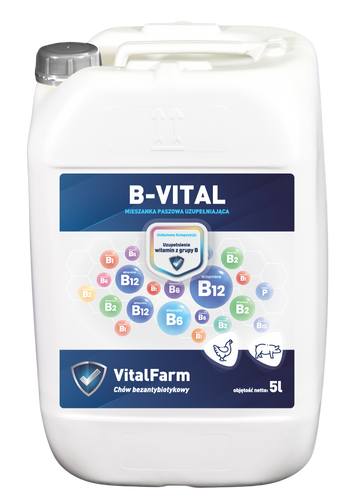 B-VITAL