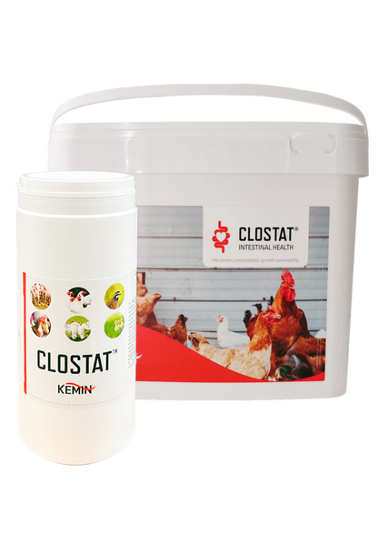 CLOSTAT HC SP DRY