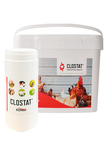 CLOSTAT HC SP DRY