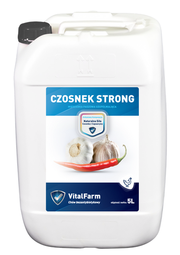 CZOSNEK STRONG