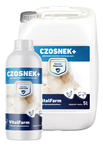 CZOSNEK+